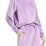 Nordstrom  BP PURPLE HYACINTH LOVE Be Proud  Inclusive Pride Velour S Photo 0