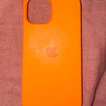 Apple Phone Case Photo 0