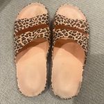 Freedom Moses Slides Photo 1