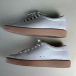 Everlane - The ReLeather® Tennis Shoe White Pale Pink Old School Classic Laceup Photo 3