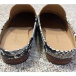 Banana Republic Faux Snakeskin Mule Shoe Slip-On Black White Gray Size 8 Photo 4