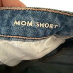 AE American Eagle Shorts Women's Jean Denim Mom Shorts Distressed SZ 8 Blue Photo 3