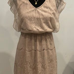 Rhapsody Elegant Lace Dress in taupe Photo 0