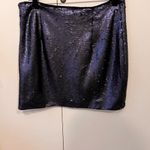 Banana Republic Nwt  sequin mini skirt Photo 1