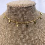 Gold Star Choker Photo 0