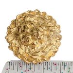 Head LION  Goldtone Pin Brooch Photo 4