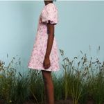 Tuckernuck NWT Sister Jane Farm Flower Mini Dress Floral Puff Sleeve Open Back Small Photo 1