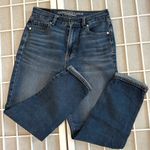 American Eagle  Outfitters Regular Blue Jeans, size 2 Photo 0