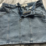 PacSun  mini skirt Photo 0