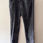 Loft Ann Taylor Charcoal Gray Velvet Pants Modern Skinny Photo 0