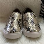 Steve Madden • safary python snakeskin metallic sneakers Photo 83