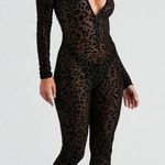 Windsor Windor Black Cat Costume  Photo 0