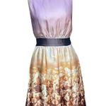 Ted Baker Silk “Dandelion” Party Dress – NWOT – Size 2 Photo 2