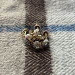 Francesca's  Earrings Photo 0