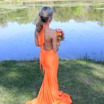 Jessica Angel Prom Dress Photo 1