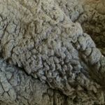 Marc New York FINAL MARKDOWN  fleece like hooded jacket medium Photo 4