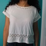 Wild Blue lace short sleeve blouse Photo 1