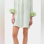 SLEEPER Party Shirt Dress w/Ostrich Feathers Mint Green Size XS NWT Satin Mini Photo 1