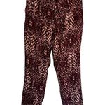 Haute Hippie The Tailored Slim Shady Pants Silk Sz 6 Merlot Snake Print Photo 0