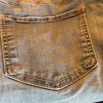 Terra & Sky 20w  Photo 9