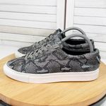 J/Slides Lacee Leather Snake Lace Up Sneakers Dark Grey 9‎ Gray Photo 2
