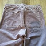 Pilcro and the Letterpress  Mauve Straight Leg Pants Photo 5