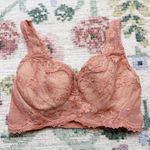 Victoria's Secret Womens Bustier Size 34DD Fairy Floral Lace Semi Sheer Photo 0