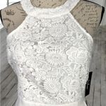 Lulus Lovers Game Skater Dress Size Medium NWT Photo 2