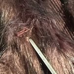 Sebby Collection faux fur sweater vest brown Maroon Black outerwear Size XL Purple Photo 6