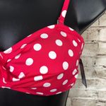 Apt. 9 NEW  Womens M Pink Polka Dot Bandeau Bikini Swim Top Photo 1
