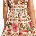 Farm Rio  Colorful Floral Lace Dress Photo 1