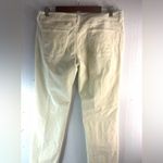 Garnet Hill  10P Cream Straight Leg Velvet Low Pile Velour Pants - Petite Photo 5