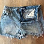 Wrangler Vintage  High Waisted Shorts Photo 0