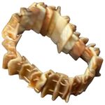 Natural Tan Shell Stretchy Beach Coastal Style Fashion Jewelry Bracelet Photo 0