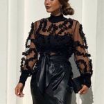 ZARA NWT  Blogger’s Fav| Constrasting Semi-Sheer Top Photo 4