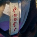 Poof! M Hoodie Neopolitan Ice Cream Big Striped T-shirt Top Photo 3