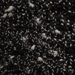 White House | Black Market FINAL MARKDOWN  dress (10) Photo 10