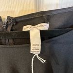 Liz Lange Black Scoop Neck (with pleats)‎ Dress Photo 2