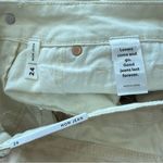 PacSun NWT  Eco Tan and Brown Paneled Mom Jeans - Size 24 Photo 3