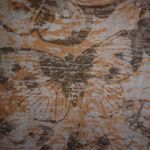 Buffalo Jeans L Orange Brown Butterfly Top Size L Photo 1