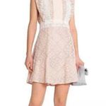 Sandro SZ 3 Peaches lace dress Photo 6