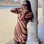 ZARA Wool Blend Long Sleeve Mini Dress in Brown Zebra Size Small Photo 7