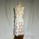 Eliza J Embroidered Mesh Fit & Flare Dress | 12 NWT Photo 4