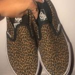 Vans Cheetah Photo 0