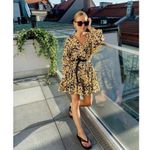 ANINE BING NEW Peyton Dress in Painterly Leo Multi Large Photo 2