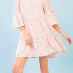Flying Tomato Calin by Embroidered Ruffle Mini Dress Sz Large cute babydoll NWT Photo 1
