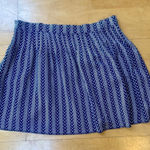 Gap EUC Womens Blue and White Zig-Zag/Chevron Pleated Skater Mini Skirt, Size 10 Photo 0