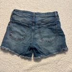Kut From The Kloth Jane Long Shorts Photo 3