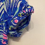Lilly Pulitzer  Tammy Dress Photo 9