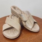 Michelle D Slip Photo 1